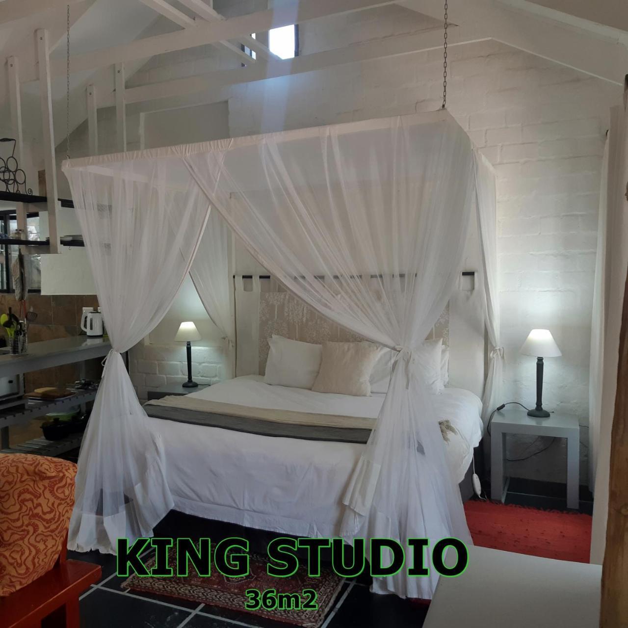 Hornbill House Self Catering Accommodation Hermanus Esterno foto